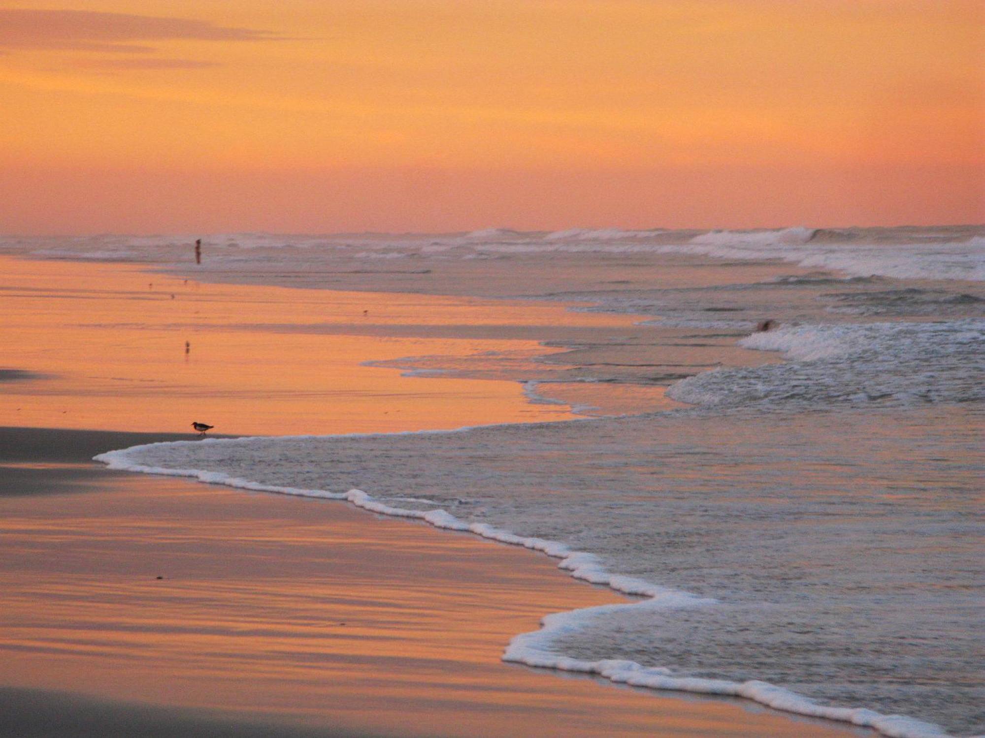 Guy Harvey Resort On Saint Augustine Beach المظهر الخارجي الصورة